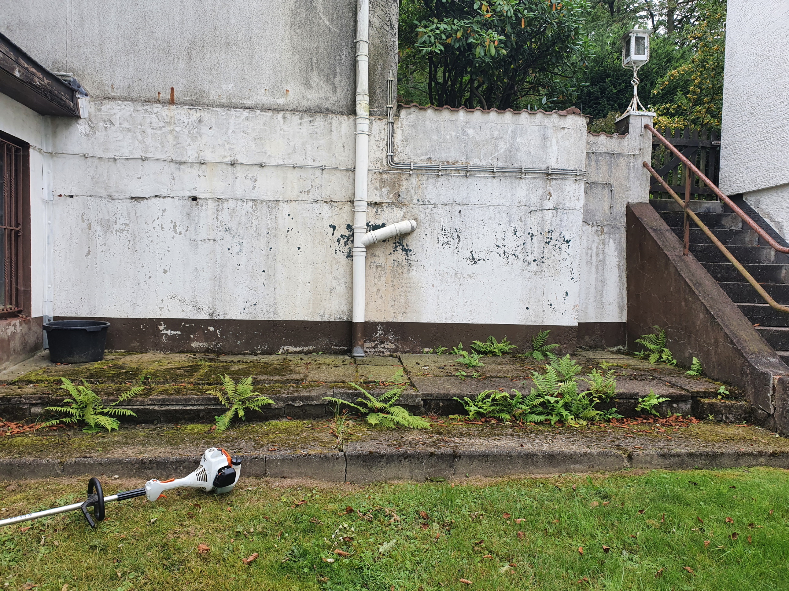 Garten reinigung