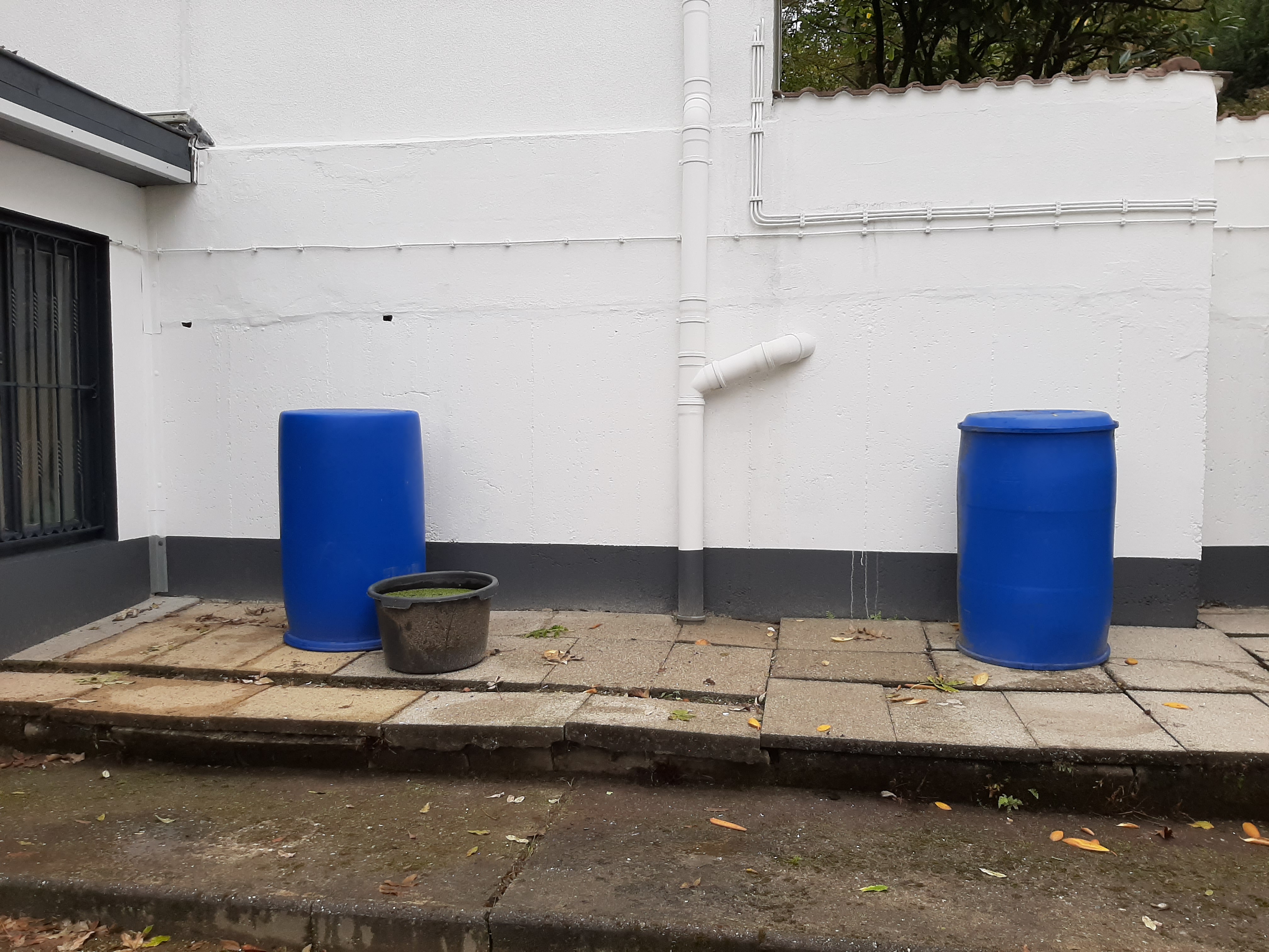 Garten reinigung