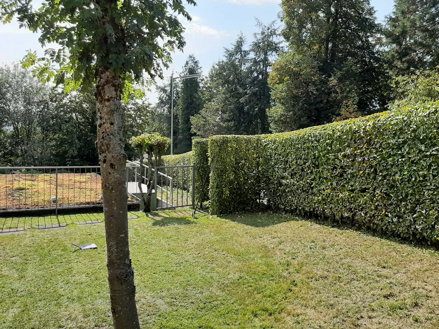 Galerie
